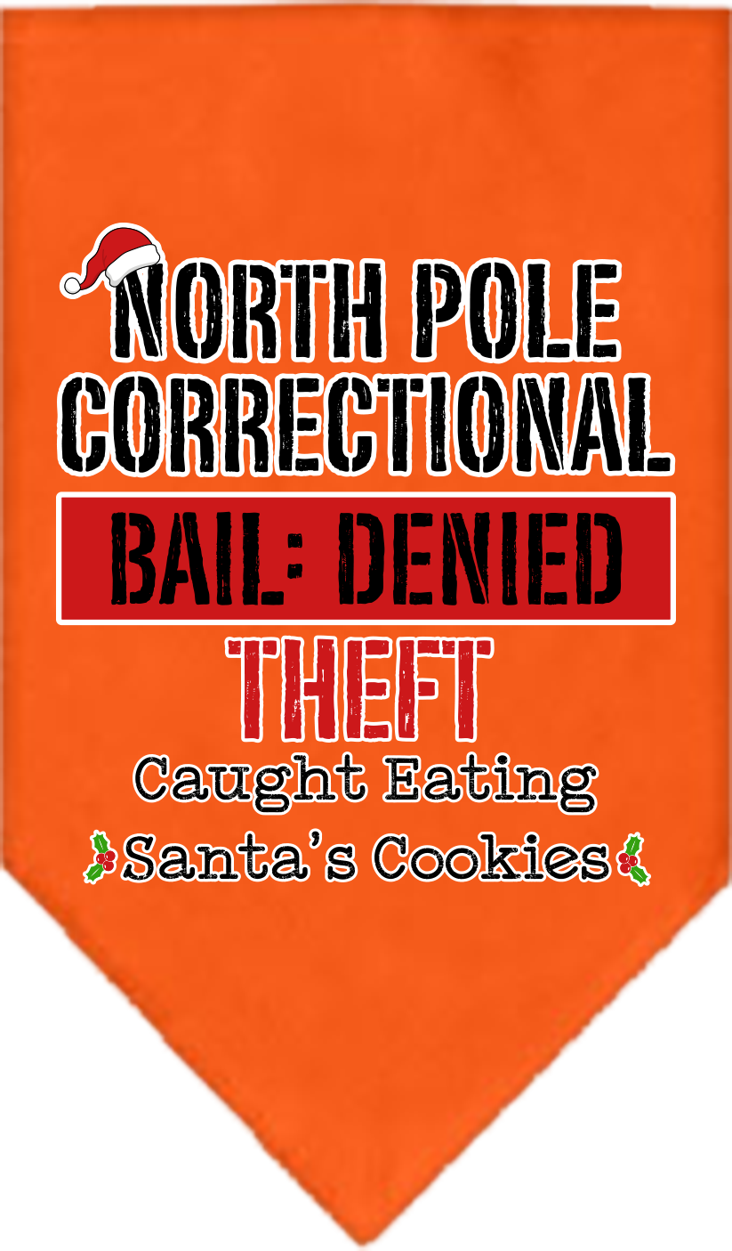 North Pole Correctional Screen Print Bandana Orange Size Large